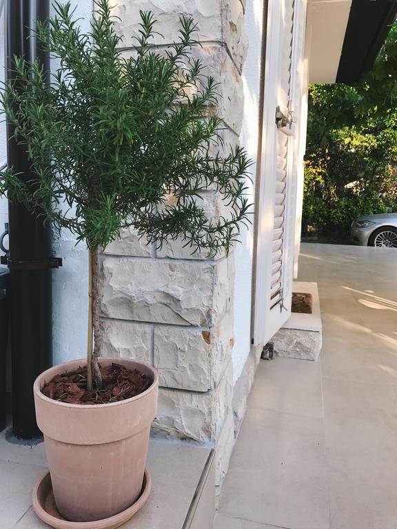 Apartment Puntica Petrcane Exterior photo
